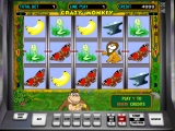Crazy Monkey online automat Crazy Monkey zdarma