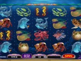 Dolphin Quest Herní automat Dolphin Quest zdarma online