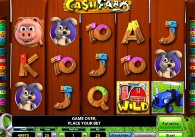 online casino cash book of ra automat online casino cash book of ra automat