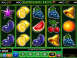 Burning Hot Casino hra Burning Hot online zdarma