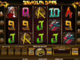 Shaolin Spin Shaolin Spin