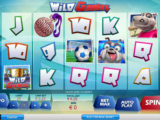 Wild Games Casino automat Wild Games zdarma