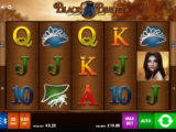 Black Beauty Roztočte válce casino automatu Black Beauty zdarma