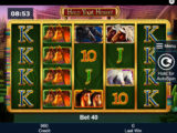 Hold Your Horses Online casino automat Hold Your Horses zdarma