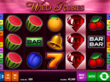 Wild Rubies Zábavný online casino automat Wild Rubies zdarma