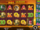 Hot Safari Obrázek z online casino automatu Hot Safari zdarma