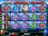 Jolly Beluga Whales Casino automat Jolly Beluga Whales bez vkladu
