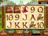 Wild Wizards Zahrajte si casino automat Wild Wizards od společnosti RTG