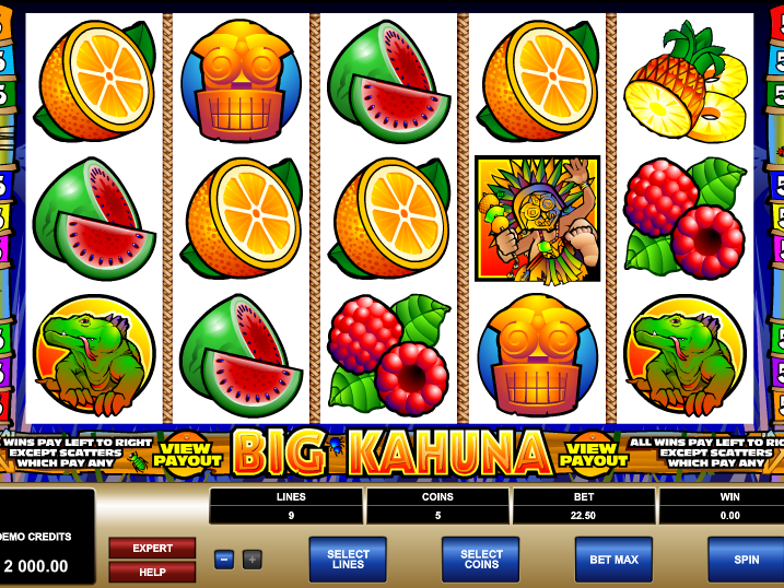obrázek ze hry automatu Big Kahuna zdarma online