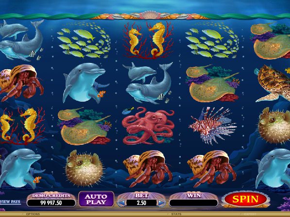 Herní automat Dolphin Quest zdarma online