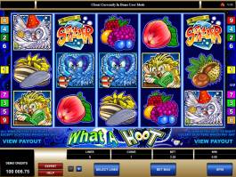 Casino online automat zdarma What a Hoot