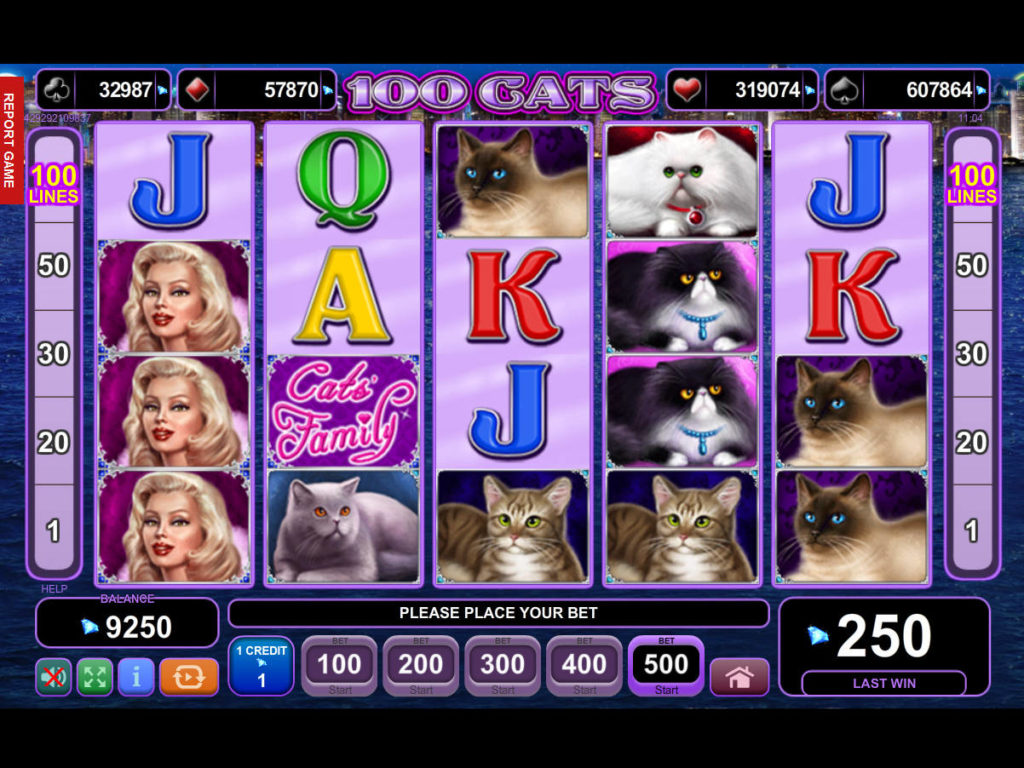 Obrázek ze hry automatu 100 Cats online