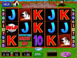 Obrázek z online automatové casino hry Barkin' Mad zdarma