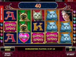 Online herní automat Diamond Cats bez vkladu