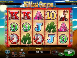 Online casino automat Wildcat Canyon pro zábavu