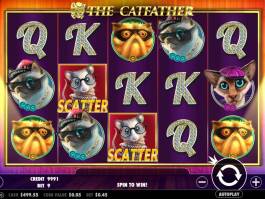 Casino automat The Catfather